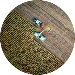 Landwirtschaft Landwirtschaft