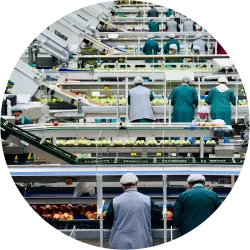 Lebensmittelindustrie Lebensmittelindustrie
